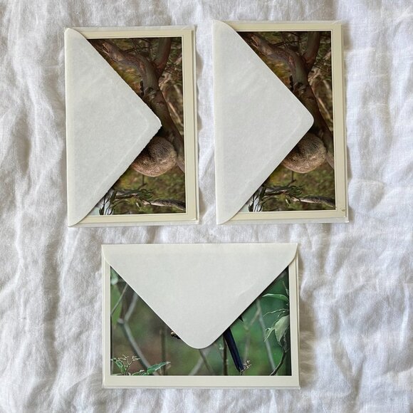 Australian Wildlife Photography Greeting Cards - Picture 13 of 16